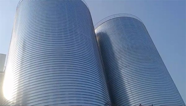 玉州2座混凝土高架卷板仓